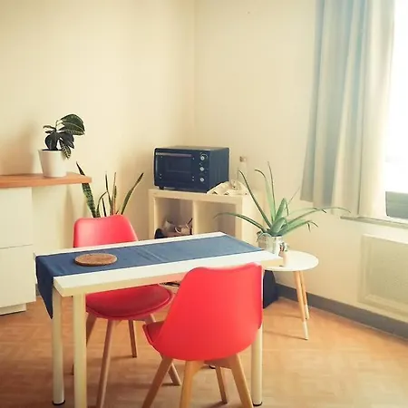 Hyper Centre Apartament Saumur